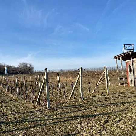 Apartman Pod Palavskymi Vrchy Pavlov Exterior photo